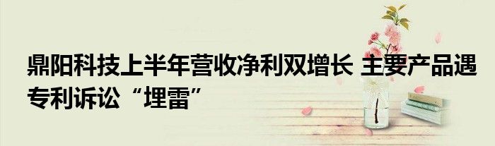 鼎阳科技上半年营收净利双增长 主要产品遇专利诉讼“埋雷”
