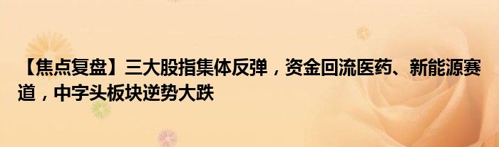 【焦点复盘】三大股指集体反弹,资金回流医药、新能源赛道,中字头板块逆势大跌