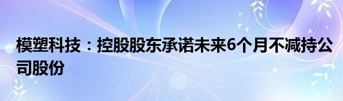 模塑科技:控股股东承诺未来6个月不减持公司股份