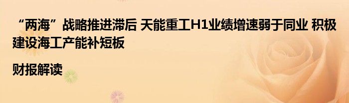 “两海”战略推进滞后 天能重工H1业绩增速弱于同业 积极建设海工产能补短板|财报解读