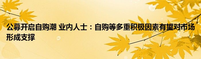 公募开启自购潮 业内人士：自购等多重积极因素有望对市场形成支撑