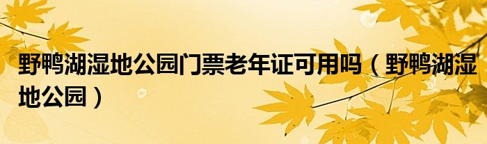 野鸭湖湿地公园门票老年证可用吗(野鸭湖湿地公园)