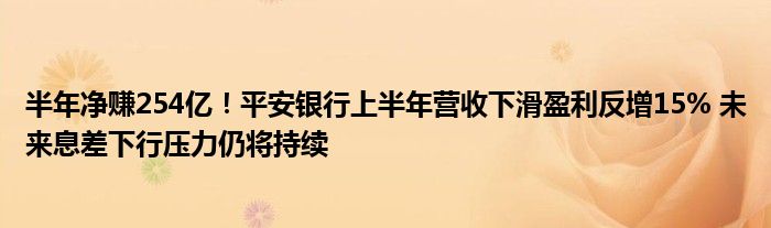 半年净赚254亿!平安银行上半年营收下滑盈利反增15% 未来息差下行压力仍将持续