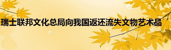 瑞士联邦文化总局向我国返还流失文物艺术品