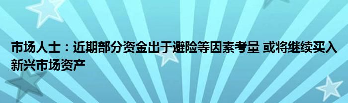 市场人士：近期部分资金出于避险等因素考量 或将继续买入新兴市场资产