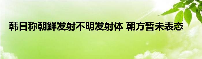 韩日称朝鲜发射不明发射体 朝方暂未表态