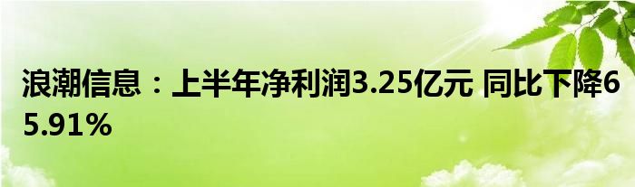 浪潮信息：上半年净利润3.25亿元 同比下降65.91%