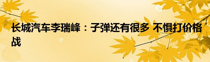 长城汽车李瑞峰:子弹还有很多 不惧打价格战
