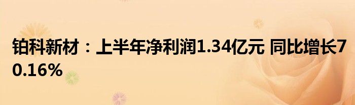 铂科新材:上半年净利润1.34亿元 同比增长70.16%