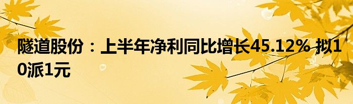 隧道股份:上半年净利同比增长45.12% 拟10派1元