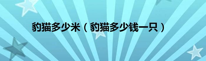 豹猫多少米(豹猫多少钱一只)