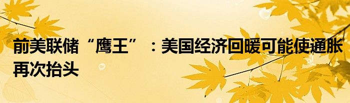 前美联储“鹰王”:美国经济回暖可能使通胀再次抬头