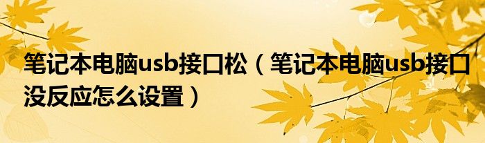 笔记本电脑usb接口松（笔记本电脑usb接口没反应怎么设置）