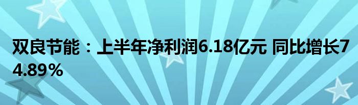 双良节能：上半年净利润6.18亿元 同比增长74.89%