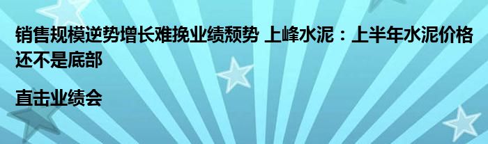 销售规模逆势增长难挽业绩颓势 上峰水泥:上半年水泥价格还不是底部|直击业绩会