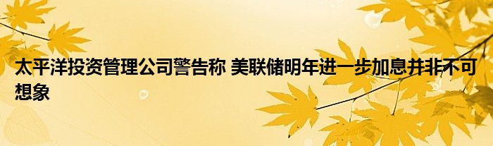 太平洋投资管理公司警告称 美联储明年进一步加息并非不可想象