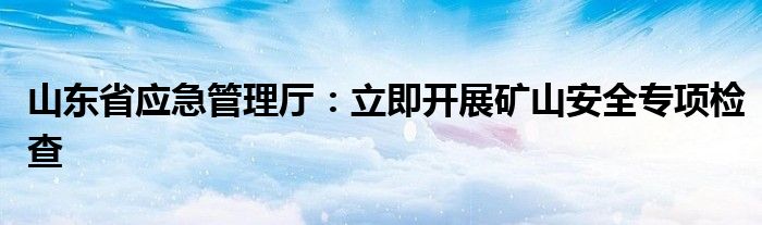 山东省应急管理厅:立即开展矿山安全专项检查