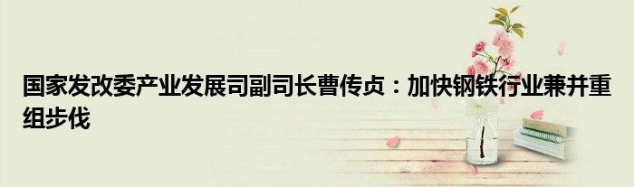 国家发改委产业发展司副司长曹传贞:加快钢铁行业兼并重组步伐