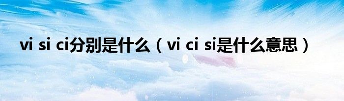 vi si ci分别是什么（vi ci si是什么意思）