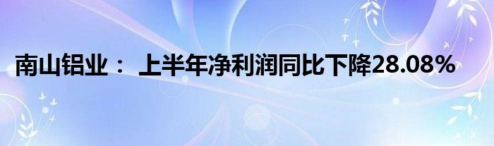 南山铝业： 上半年净利润同比下降28.08%