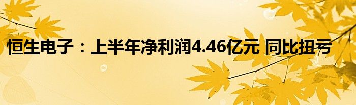 恒生电子：上半年净利润4.46亿元 同比扭亏