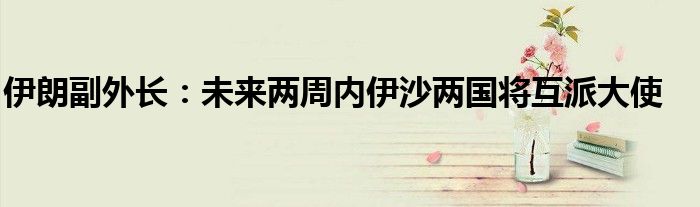 伊朗副外长:未来两周内伊沙两国将互派大使