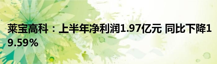 莱宝高科:上半年净利润1.97亿元 同比下降19.59%