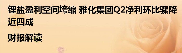 锂盐盈利空间垮缩 雅化集团Q2净利环比骤降近四成|财报解读
