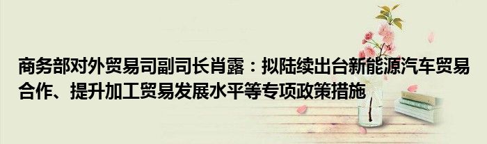 商务部对外贸易司副司长肖露:拟陆续出台新能源汽车贸易合作、提升加工贸易发展水平等专项政策措施
