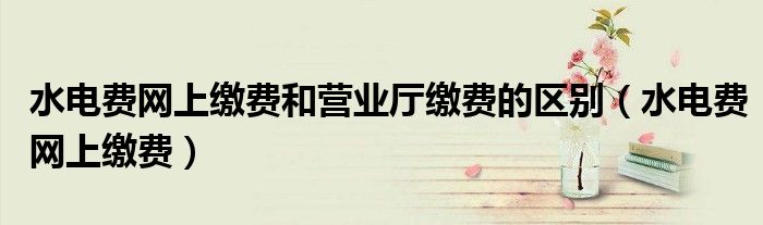 水电费网上缴费和营业厅缴费的区别(水电费网上缴费)