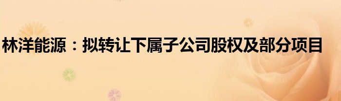 林洋能源:拟转让下属子公司股权及部分项目