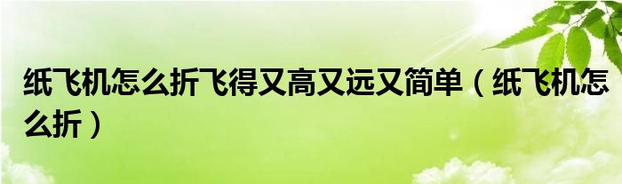 纸飞机怎么折飞得又高又远又简单（纸飞机怎么折）