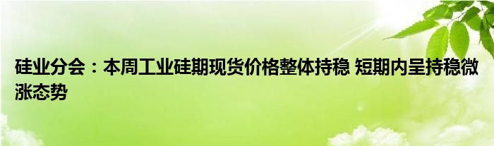 硅业分会:本周工业硅期现货价格整体持稳 短期内呈持稳微涨态势