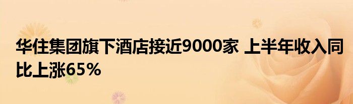华住集团旗下酒店接近9000家 上半年收入同比上涨65%