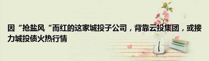 因“抢盐风“而红的这家城投子公司,背靠云投集团,或接力城投债火热行情