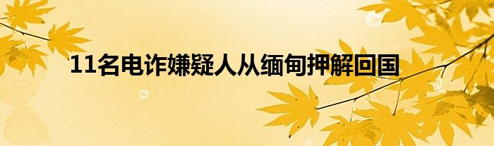 11名电诈嫌疑人从缅甸押解回国