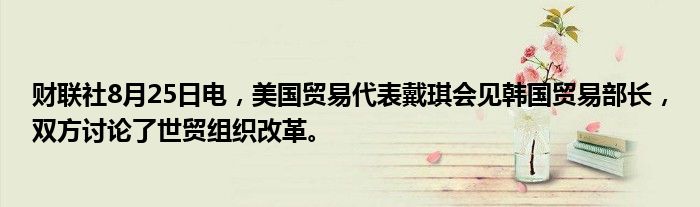 财联社8月25日电,美国贸易代表戴琪会见韩国贸易部长,双方讨论了世贸组织改革。