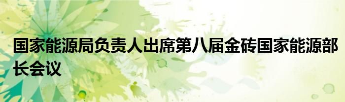 国家能源局负责人出席第八届金砖国家能源部长会议