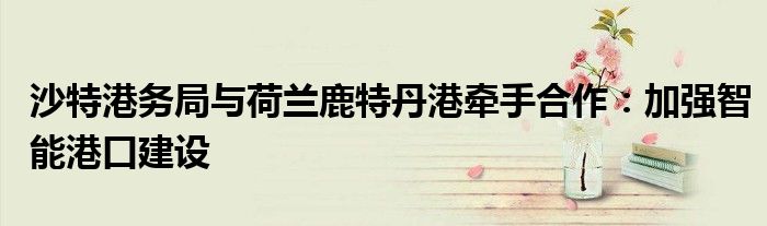 沙特港务局与荷兰鹿特丹港牵手合作:加强智能港口建设