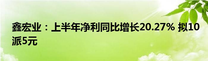 鑫宏业:上半年净利同比增长20.27% 拟10派5元