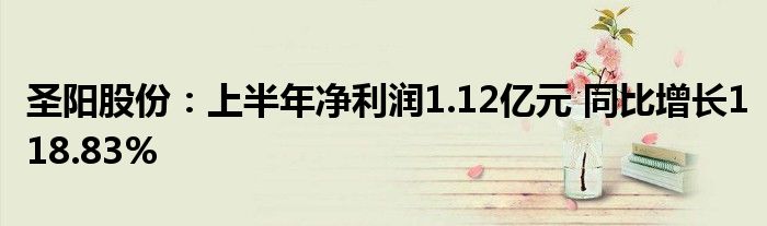 圣阳股份:上半年净利润1.12亿元 同比增长118.83%