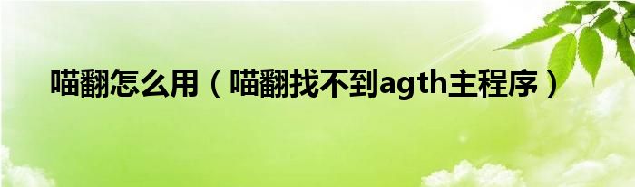 喵翻怎么用（喵翻找不到agth主程序）