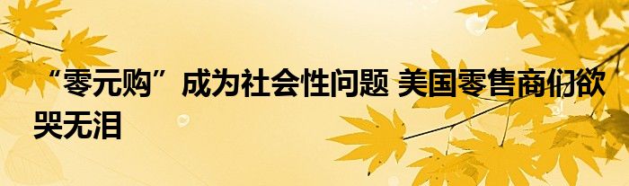“零元购”成为社会性问题 美国零售商们欲哭无泪