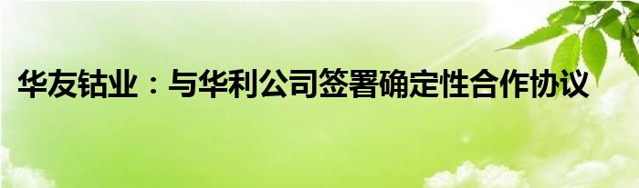 华友钴业:与华利公司签署确定性合作协议