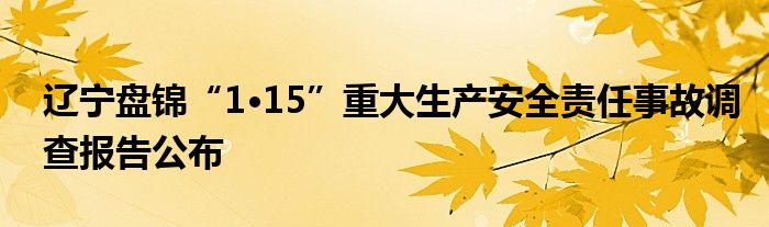 辽宁盘锦“1·15”重大生产安全责任事故调查报告公布