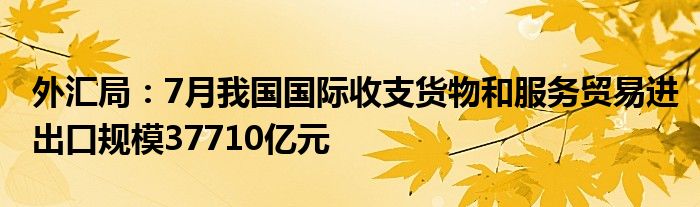 外汇局:7月我国国际收支货物和服务贸易进出口规模37710亿元