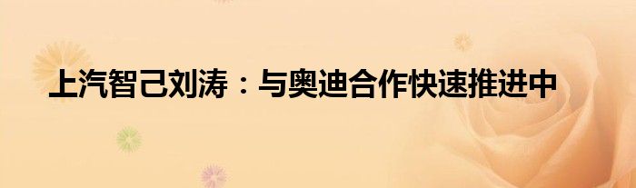 上汽智己刘涛:与奥迪合作快速推进中