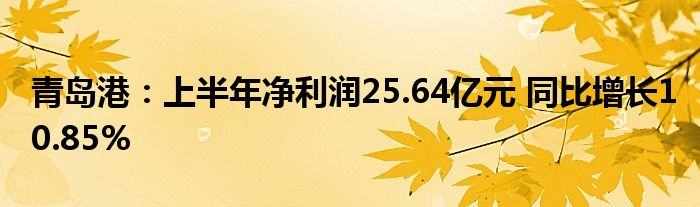 青岛港:上半年净利润25.64亿元 同比增长10.85%