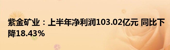 紫金矿业:上半年净利润103.02亿元 同比下降18.43%