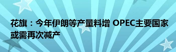 花旗:今年伊朗等产量料增 OPEC主要国家或需再次减产